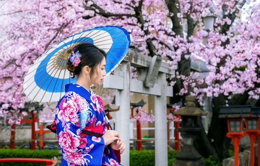 9 Kimono Patterns and Their Meanings