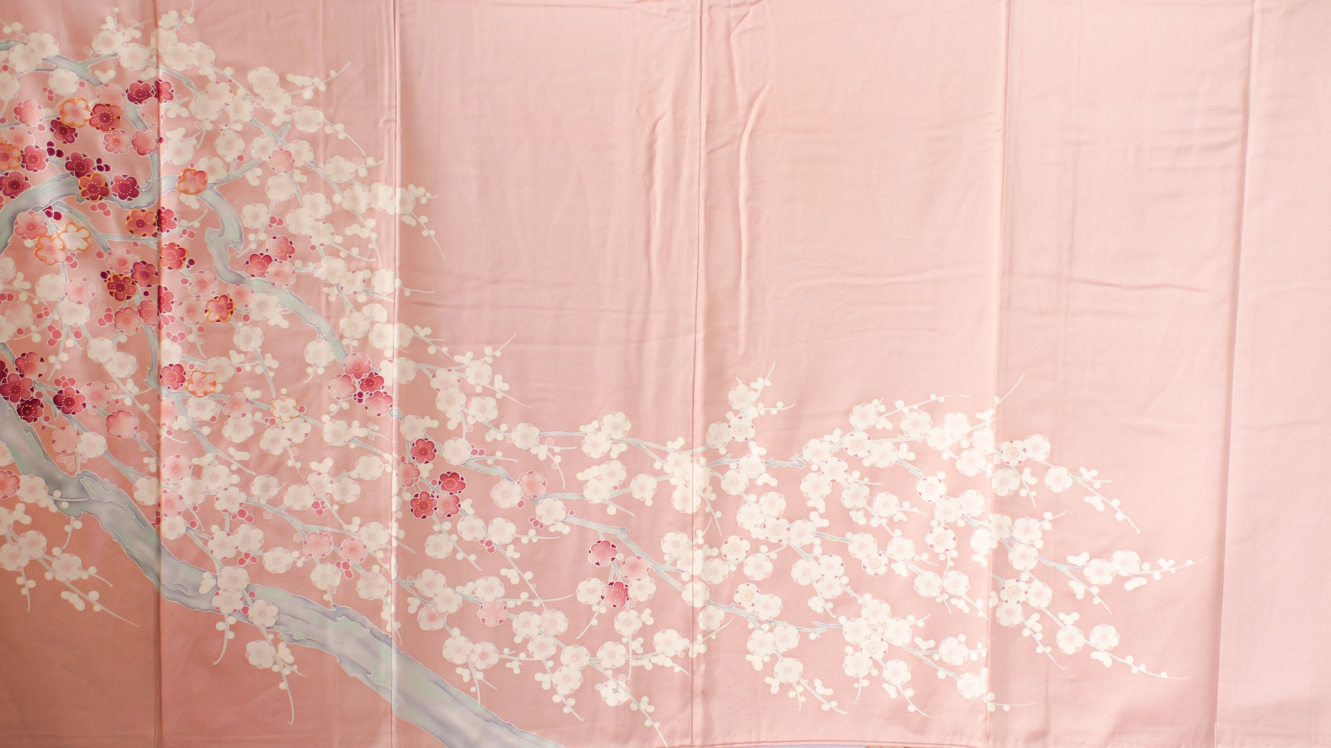 Sakura and Spring Collection 2025
