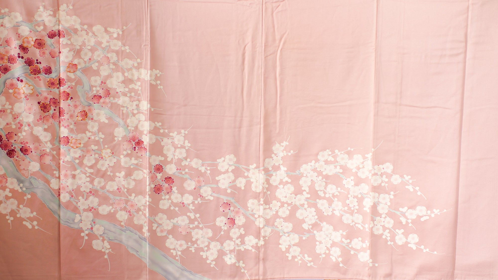 Sakura and Spring Collection 2025
