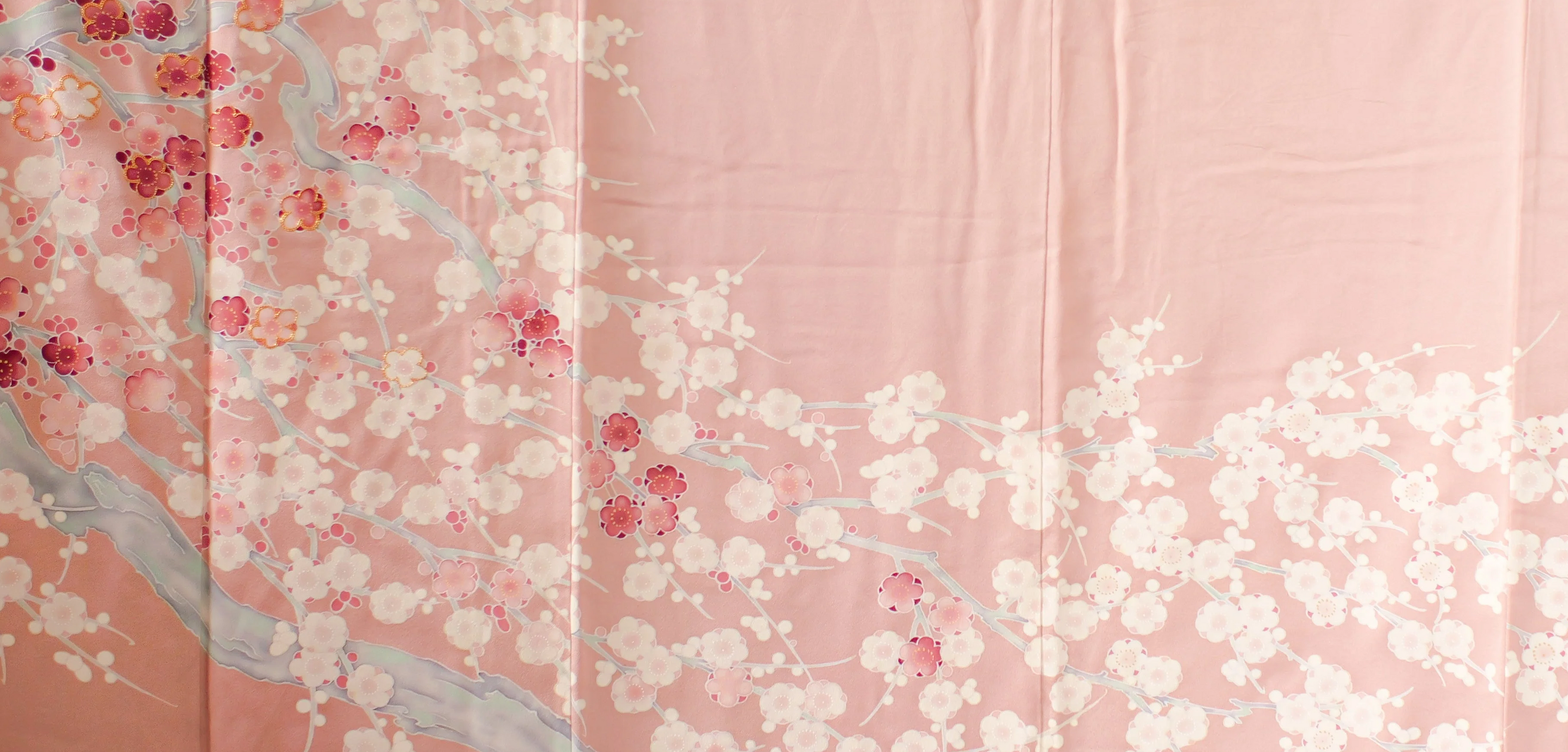 Sakura and Spring Collection 2026