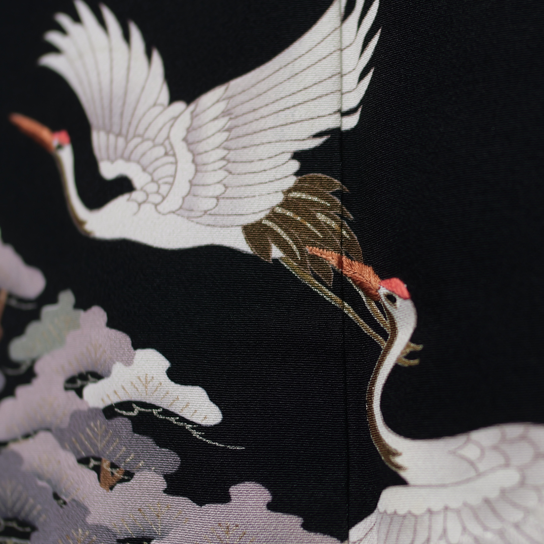 Premium Fabric: Flight Through the Canopy | A2-01
