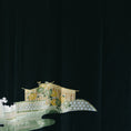 Load image into Gallery viewer, Kintsugi Collection: KINAUG27-01

