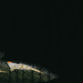 Load image into Gallery viewer, Kintsugi Collection: KINAUG27-07
