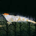 Load image into Gallery viewer, Kintsugi Collection: KINAUG27-07
