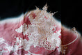 Load image into Gallery viewer, April 20 Live | Premium Fabric: Embroidered Flower in Pink | HB 513 -- FULLY EMBROIDERED!
