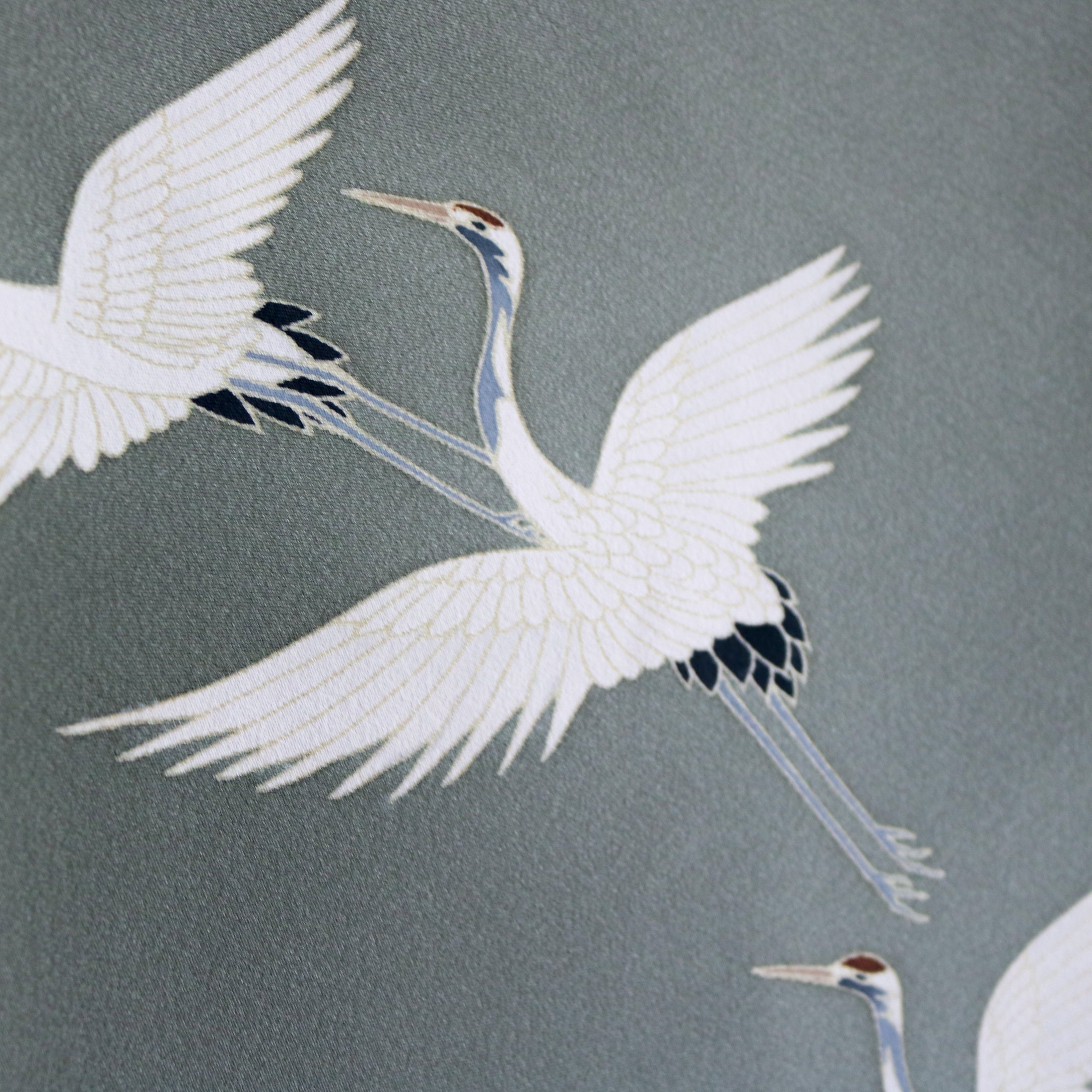 NALB Fabric: NALBSEP01-11