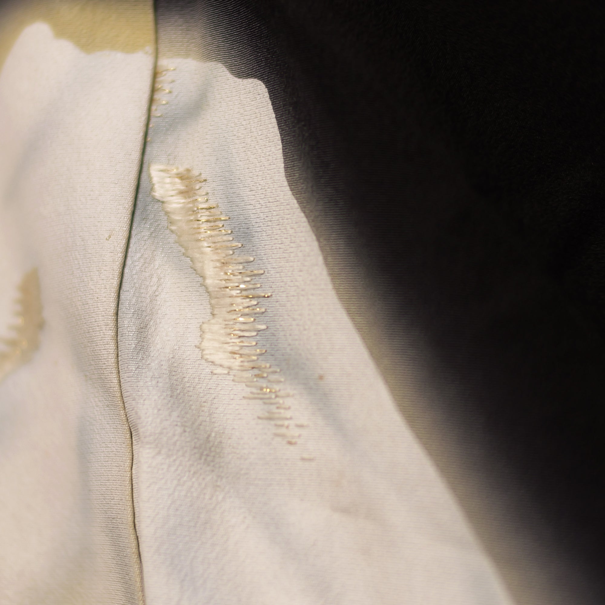 Ja24-5 Fabric: Shadowed Pine Forest