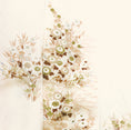 Load image into Gallery viewer, NALB - No Art Left Behind Fabric: NALB Aug27-01
