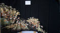 Load image into Gallery viewer, Sakura Collection: AP27-10 | Black Full of Florals
